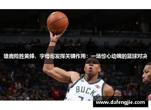 雄鹿险胜黄蜂，字母哥发挥关键作用：一场惊心动魄的篮球对决