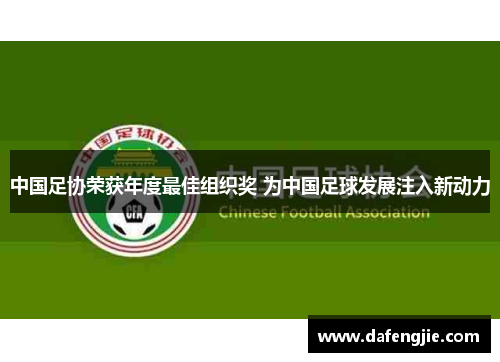 中国足协荣获年度最佳组织奖 为中国足球发展注入新动力